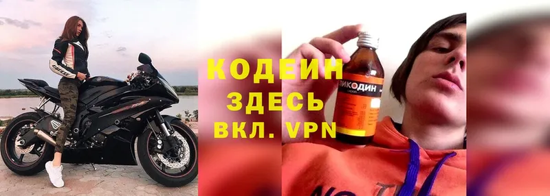 mega tor  Выборг  Кодеин Purple Drank 